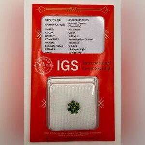 Rare Natural Green Tsavorite Garnet 1.10 cts Loose Gemstones Luxury Gift Garnet